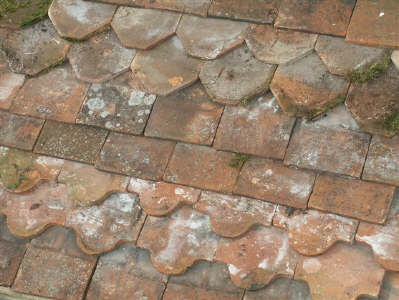 Shaped Tiles